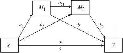 “I must be perfect”: The role of irrational beliefs and perfectionism on the competitive anxiety of Hungarian athletes